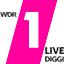 WDR 1LIVE diGGi